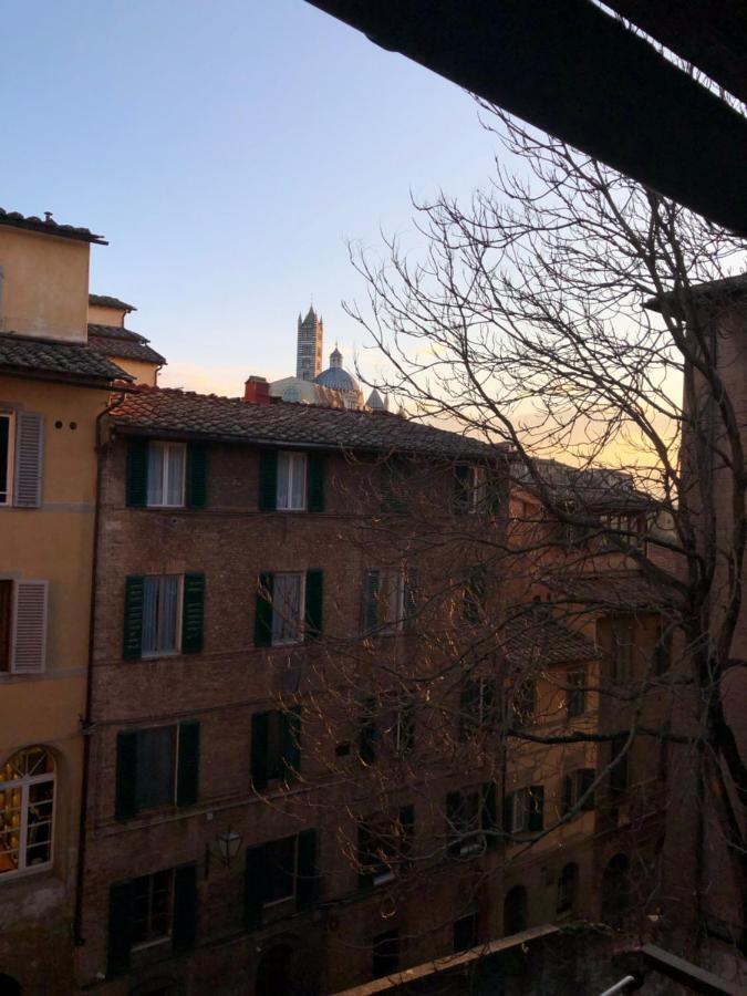 Teresa 91, Appartamento Incantevole Vista Duomo Siena Dış mekan fotoğraf
